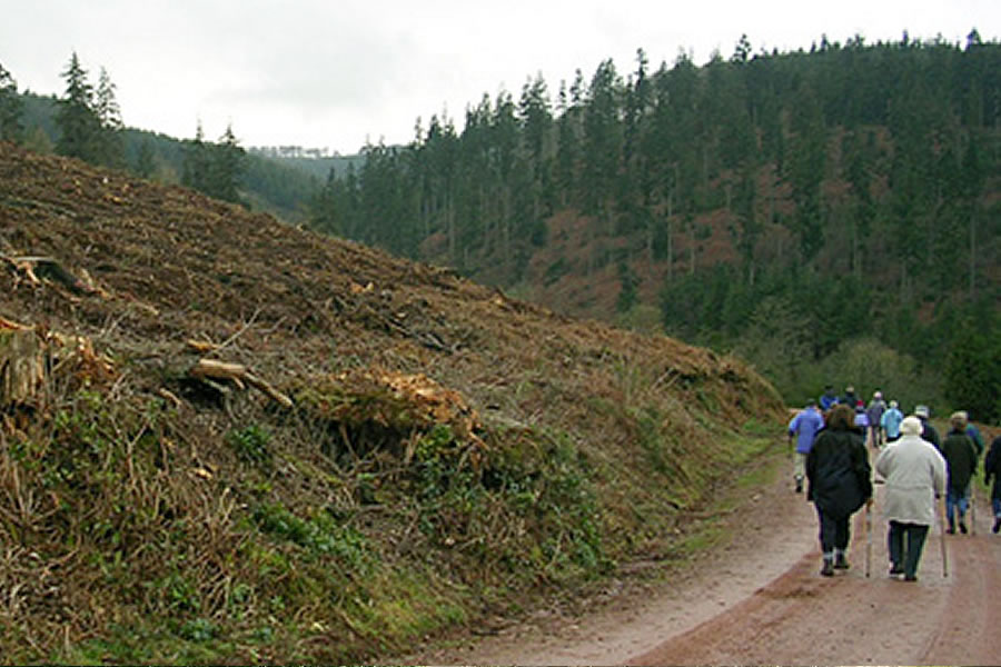 accompanied-walks